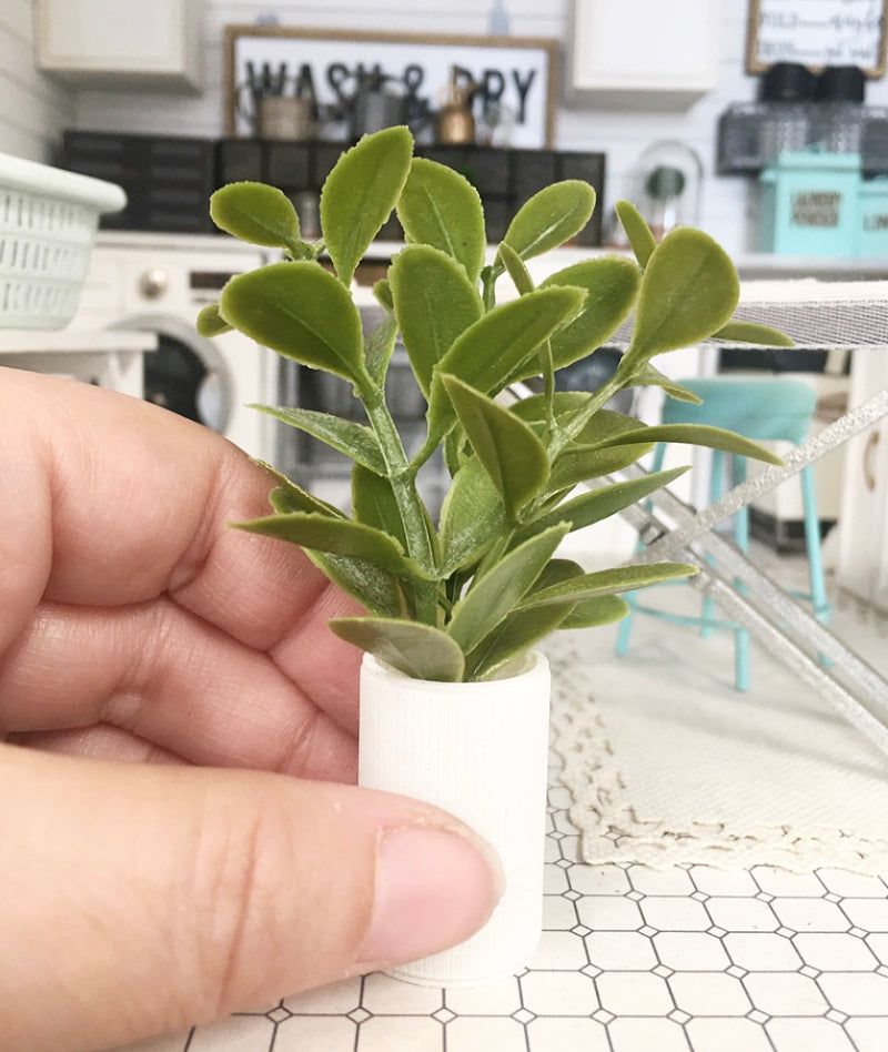 1:12 Scale | Miniature Farmhouse Stripe White Leaf Plant