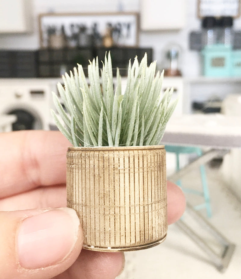 1:12 Scale | Miniature Farmhouse Stripe Large Wood Spike Plant