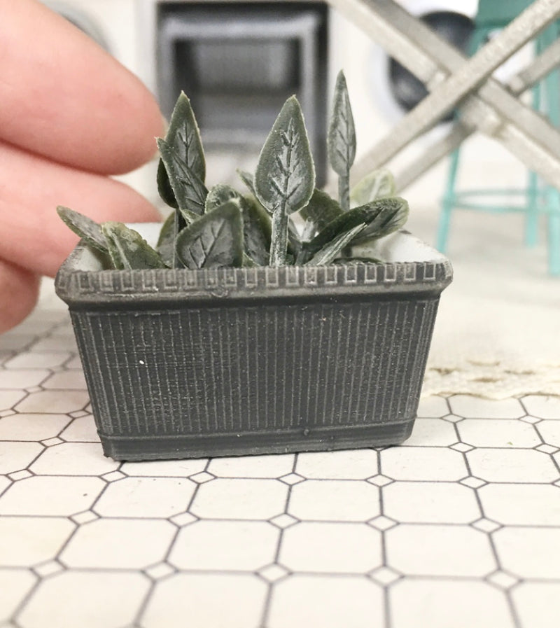 1:12 Scale | Miniature Farmhouse Rectangle Plant Heart Leaf Charcoal