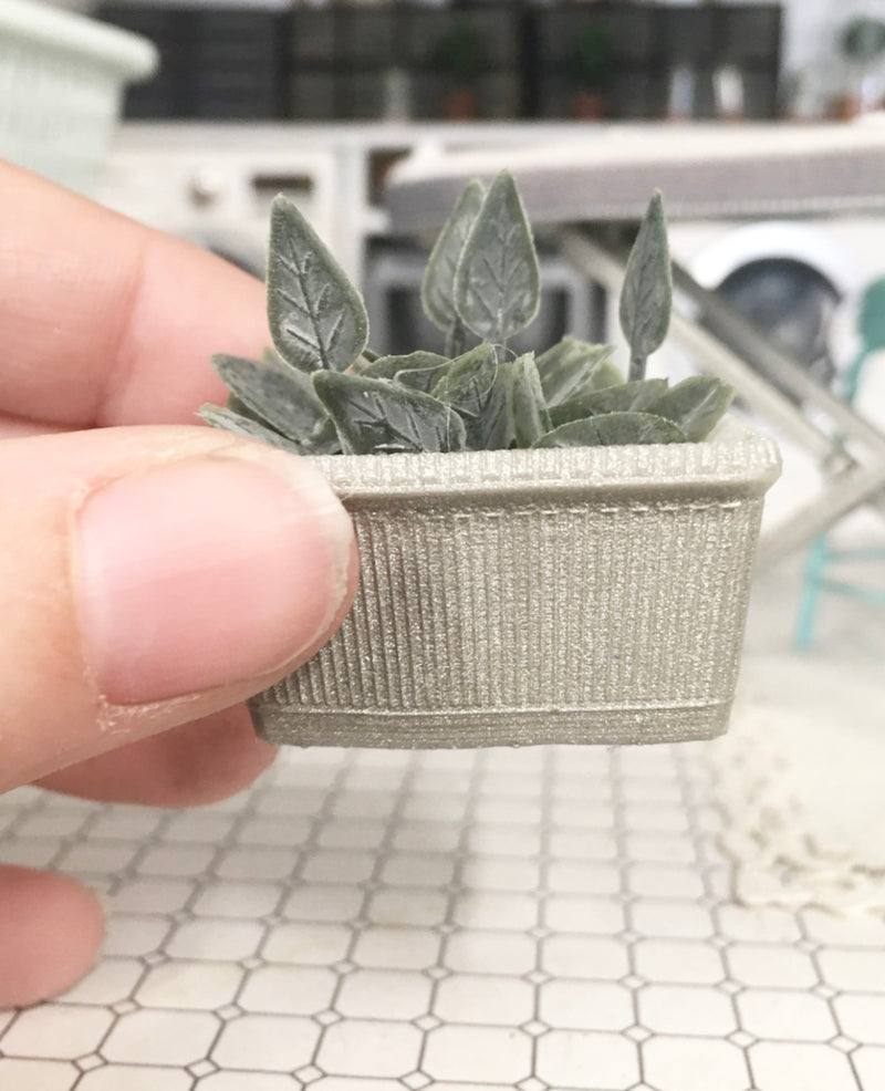 1:12 Scale | Miniature Farmhouse Rectangle Plant Heart Leaf Silver