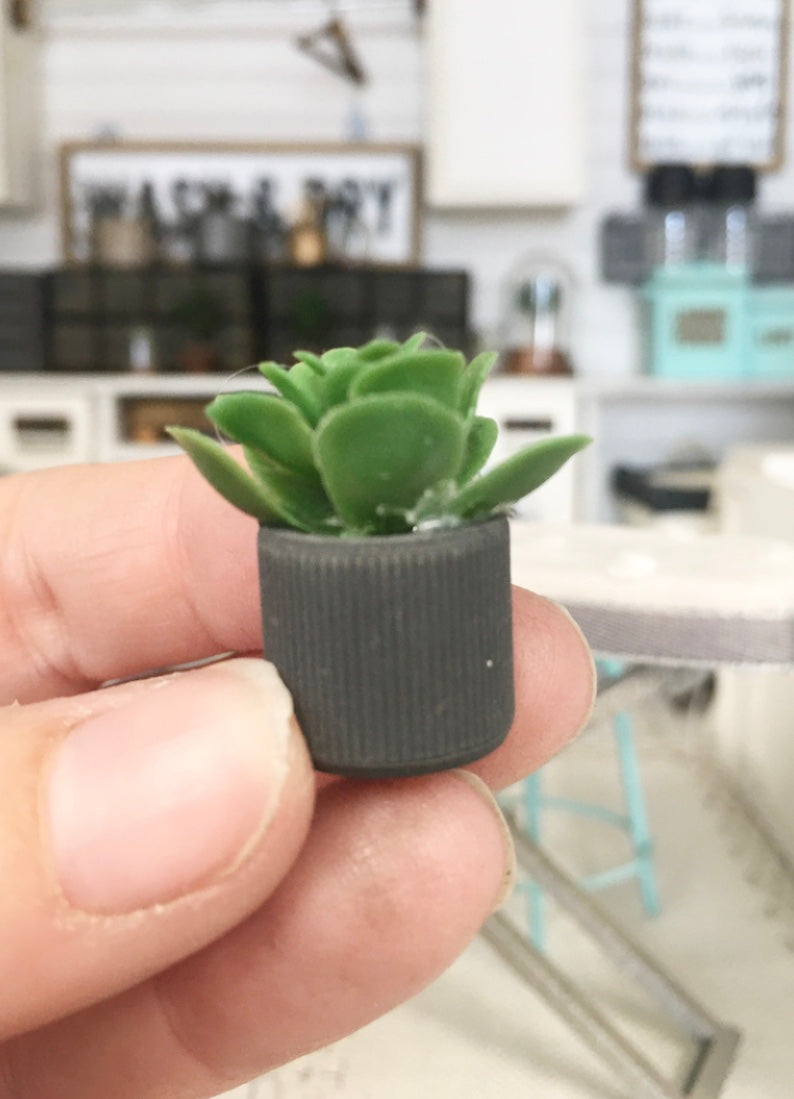 1:12 Scale | Miniature Farmhouse Stripe Charcoal Leaf Cactus Plant