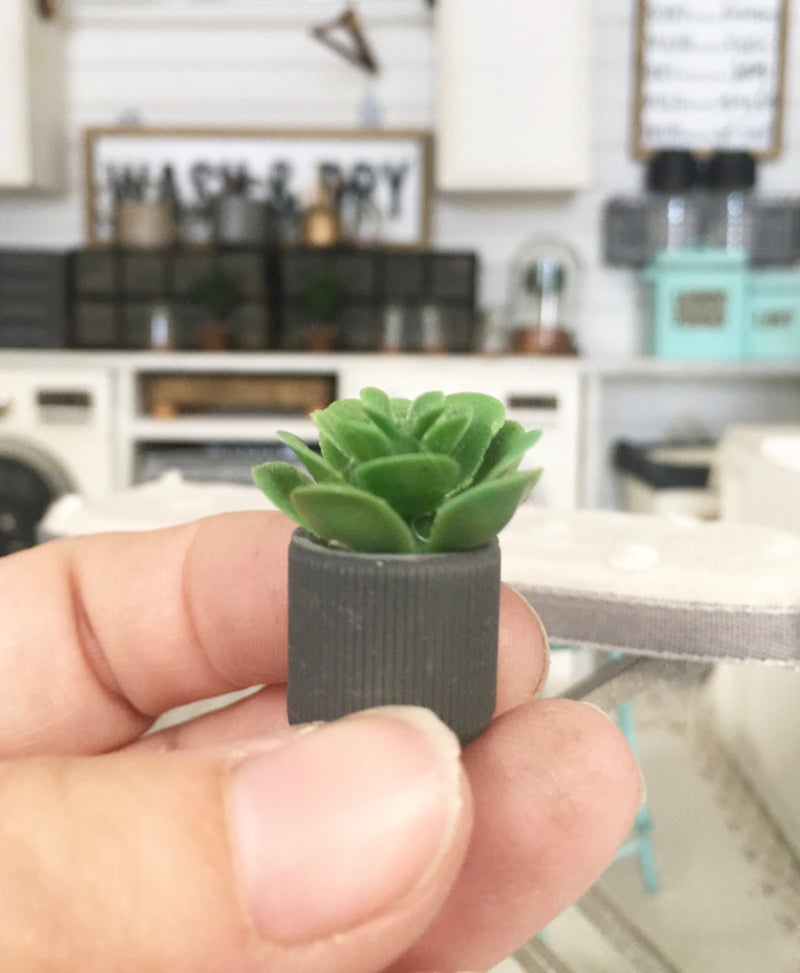 1:12 Scale | Miniature Farmhouse Stripe Charcoal Leaf Cactus Plant