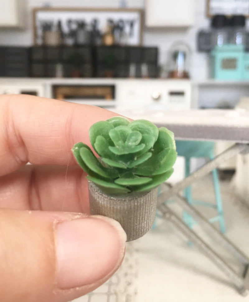 1:12 Scale | Miniature Farmhouse Stripe Silver Leaf Cactus Plant