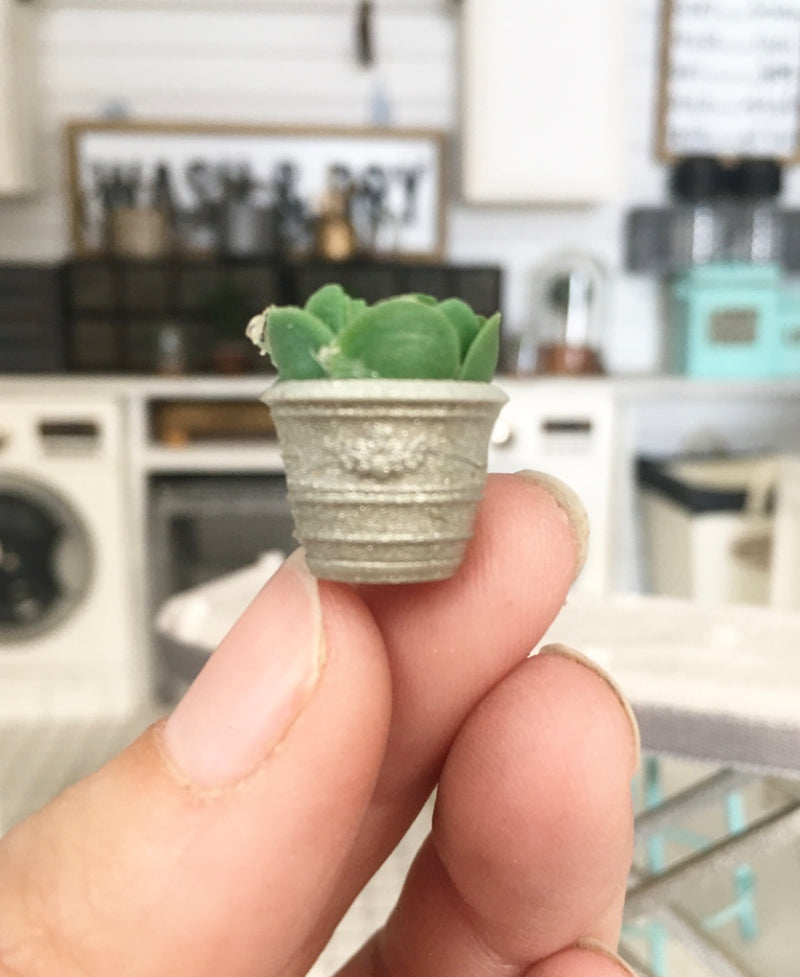 1:12 Scale | Miniature Farmhouse Silver Embossed Leaf Cactus Plant