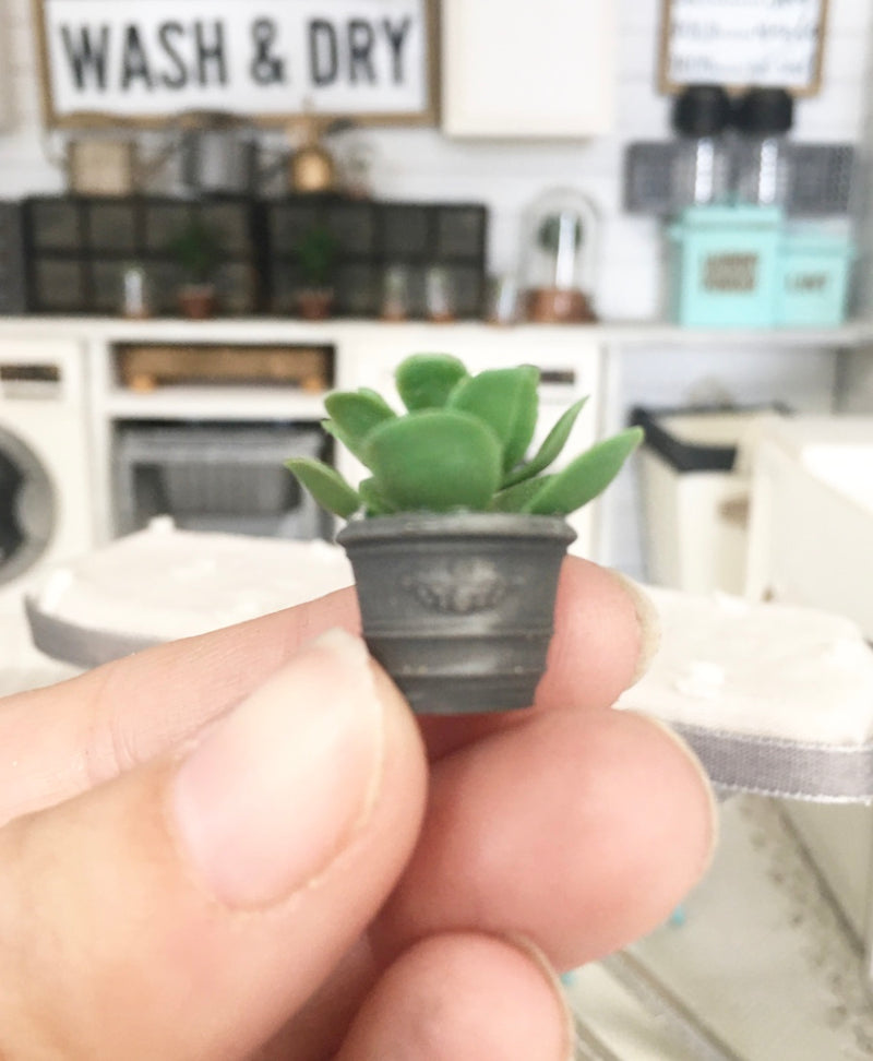 1:12 Scale | Miniature Farmhouse Charcoal Embossed Leaf Cactus Plant