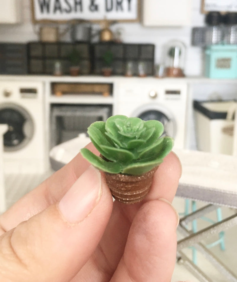 1:12 Scale | Miniature Farmhouse Terracotta Embossed Leaf Cactus Plant