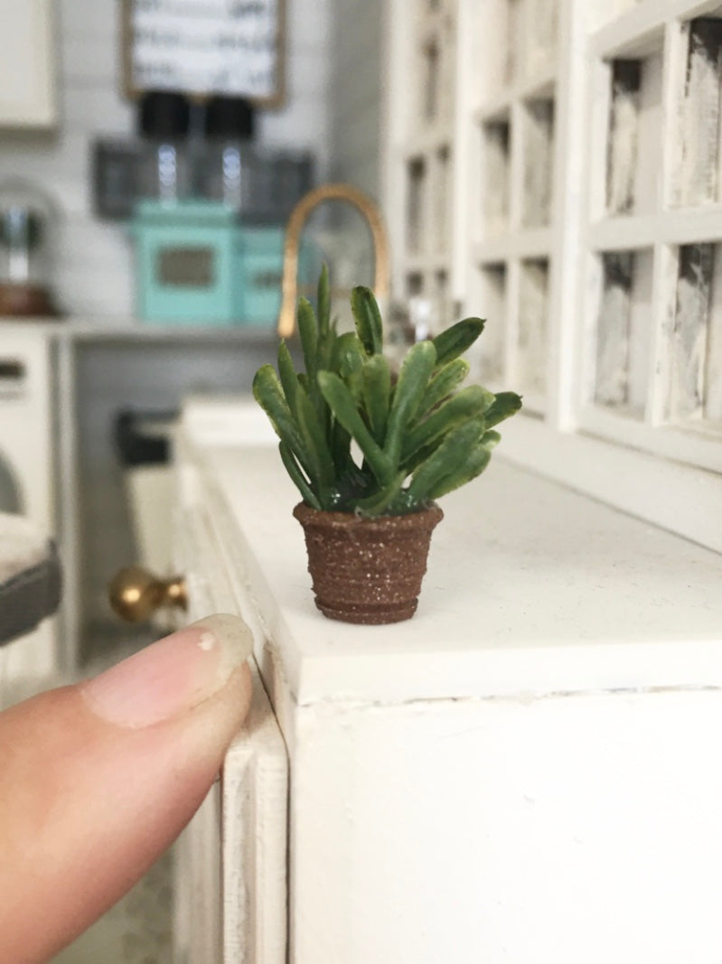 1:12 Scale | Miniature Farmhouse Tiny Terracotta Embossed Leaf Plant