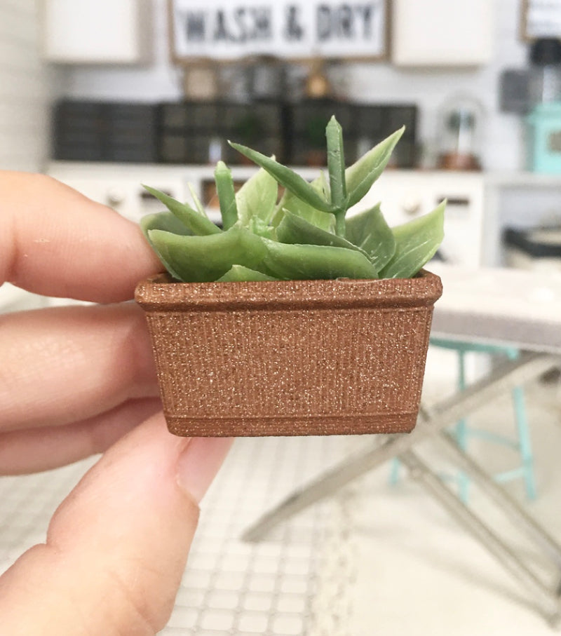 1:12 Scale | Miniature Farmhouse Rectangle Plant Heart Spike Leaf Terracotta