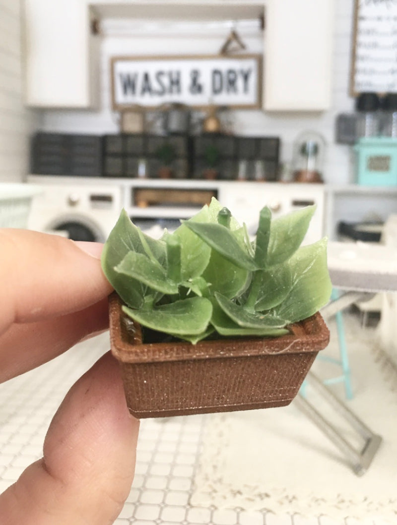 1:12 Scale | Miniature Farmhouse Rectangle Plant Heart Spike Leaf Terracotta