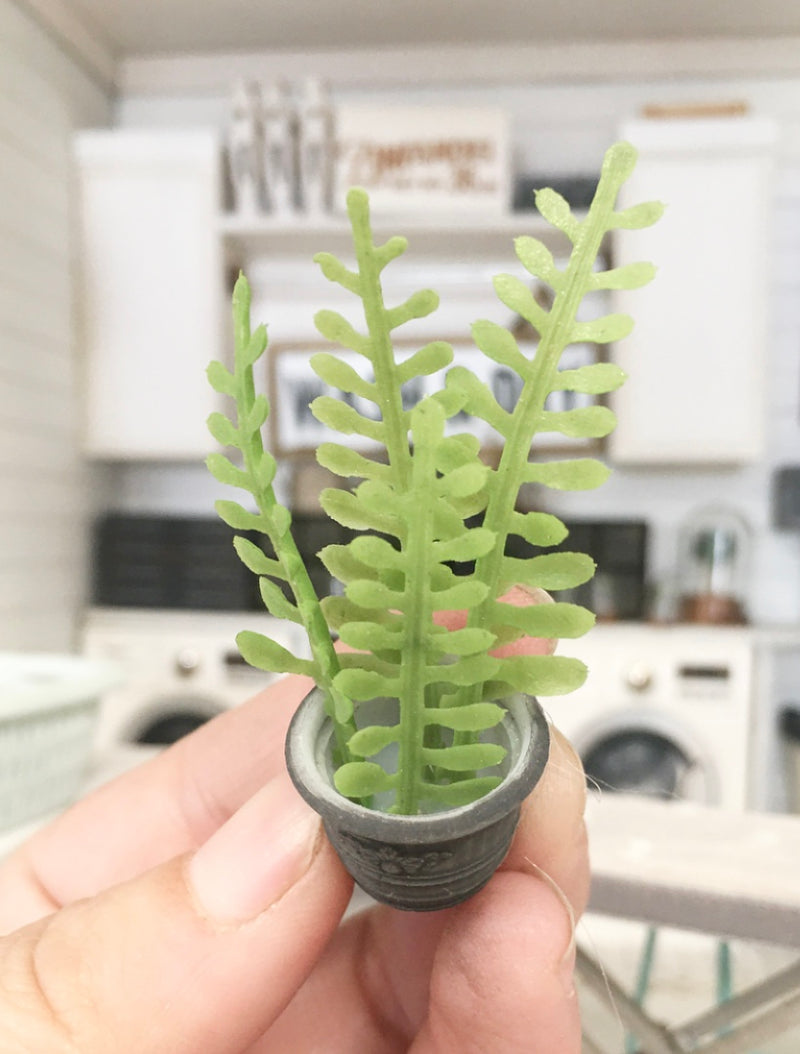 1:12 Scale | Miniature Farmhouse Charcoal Embossed Fern Plant