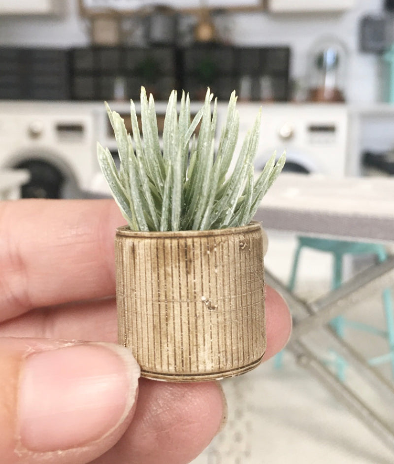 1:12 Scale | Miniature Farmhouse Stripe Small Wood Spike Plant