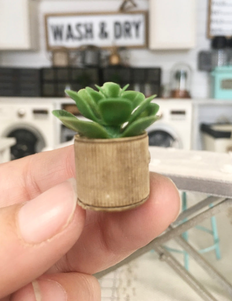 1:12 Scale | Miniature Farmhouse Stripe Wood Leaf Cactus Plant