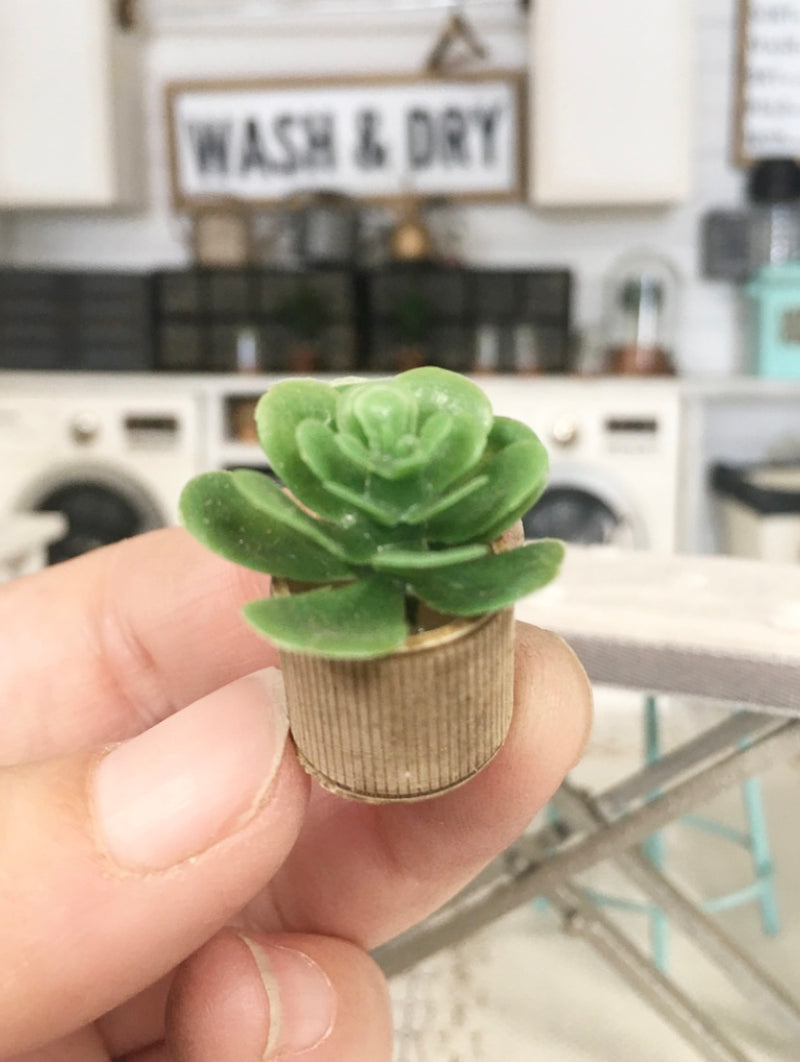 1:12 Scale | Miniature Farmhouse Stripe Wood Leaf Cactus Plant