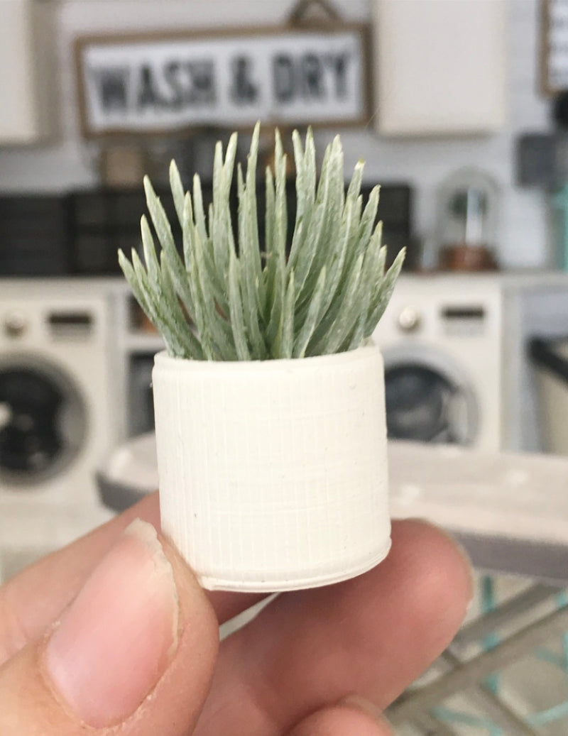 1:12 Scale | Miniature Farmhouse Stripe Small White Spike Plant