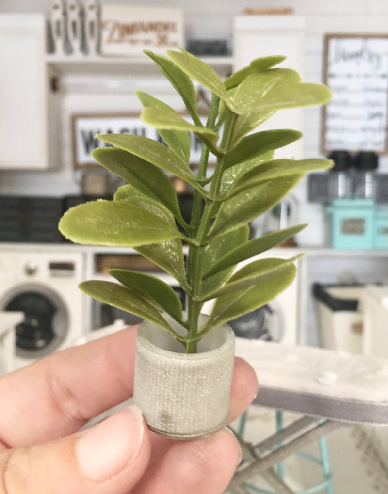 1:12 Scale | Miniature Farmhouse Stripe Silver Leaf Plant