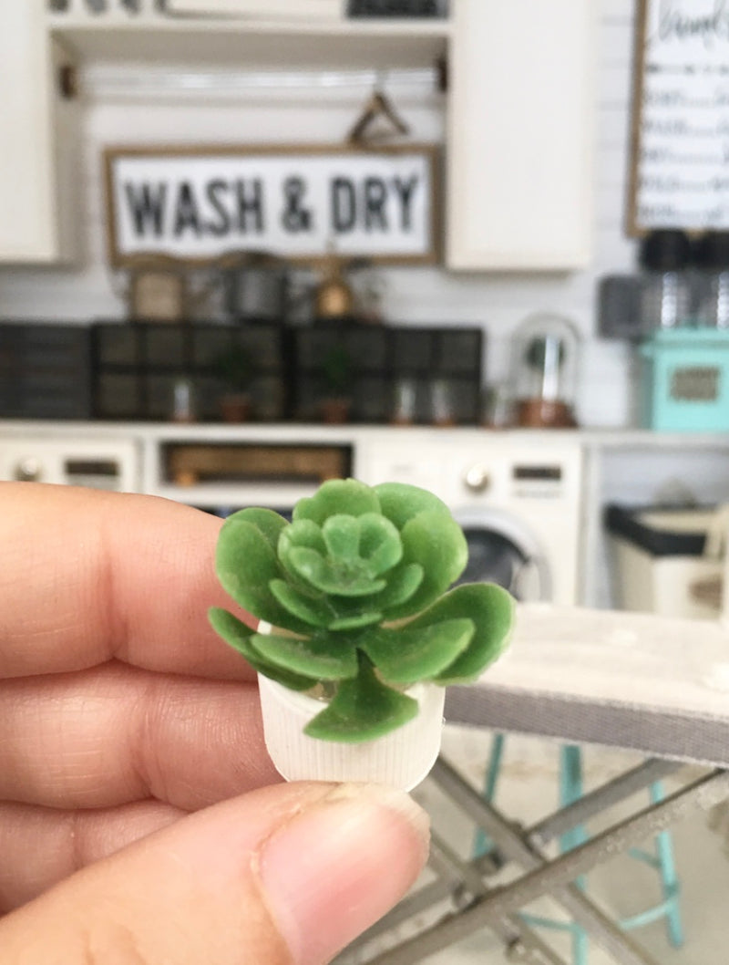 1:12 Scale | Miniature Farmhouse Stripe White Leaf Cactus Plant