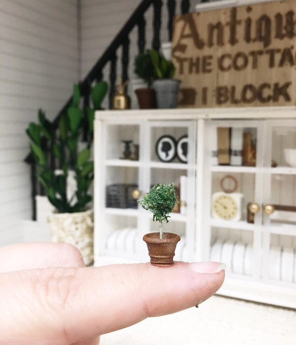 1:12 Scale | Miniature Farmhouse Tiny Terracotta Topiary