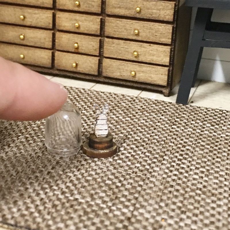 1:12 Scale | Miniature Tiny Shiplap Dome Bunny