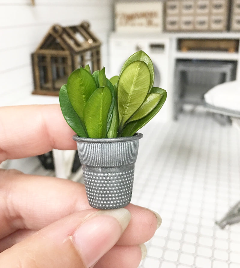 1:12 Scale | Miniature Farmhouse Dots Stripe Plant Small
