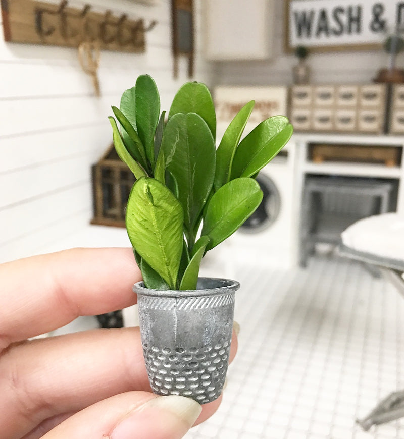 1:12 Scale | Miniature Farmhouse Dotted Pot Plant