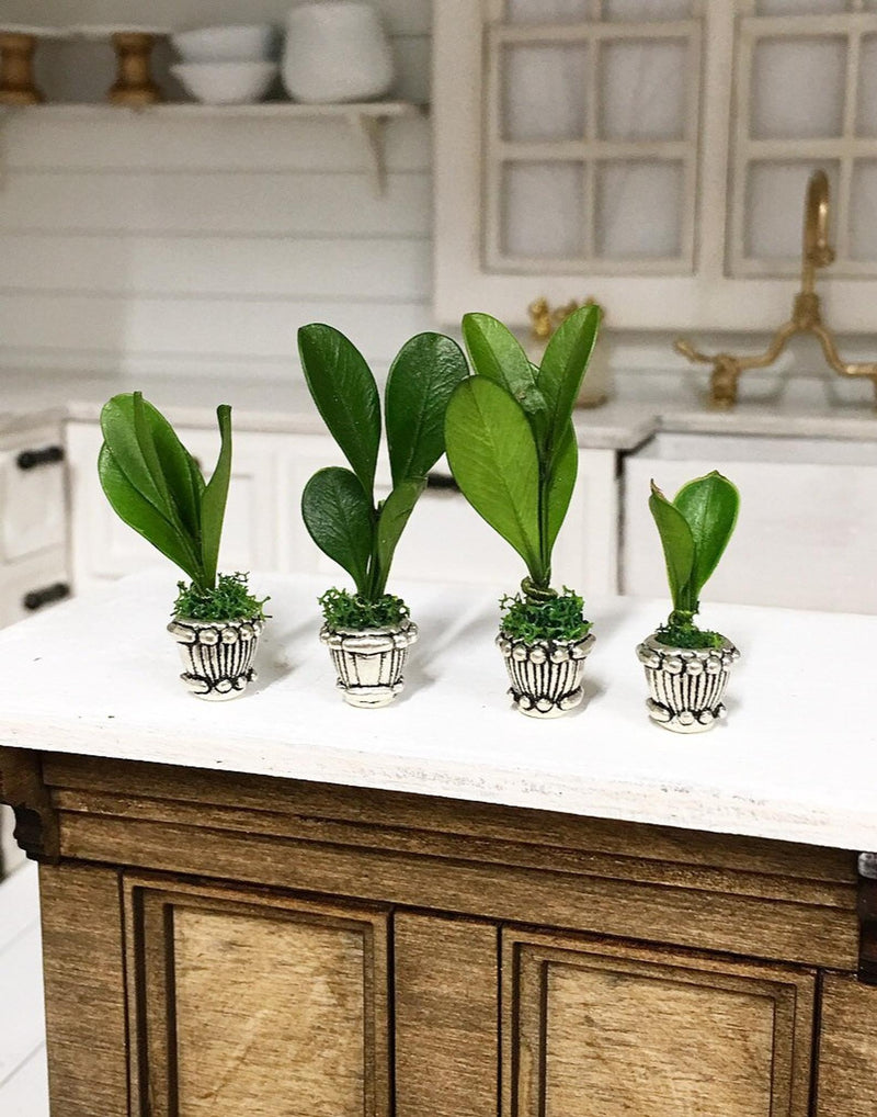 Tiny Miniature Plants in Silver Pots 4PC Set