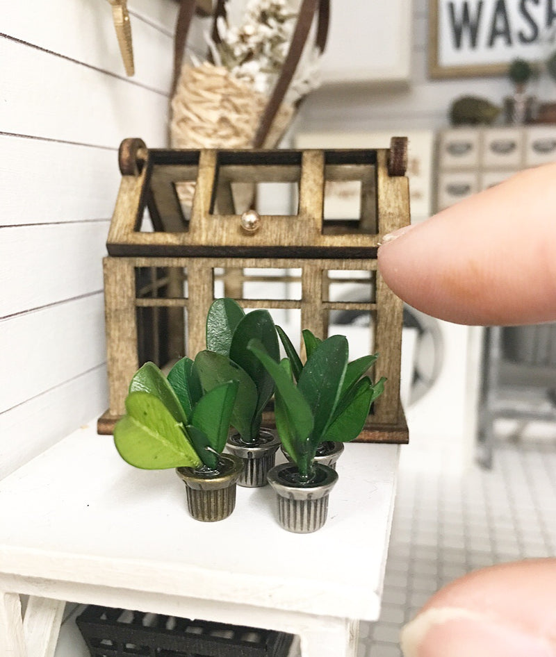 1:12 Scale | Miniature Farmhouse Tiny Plants